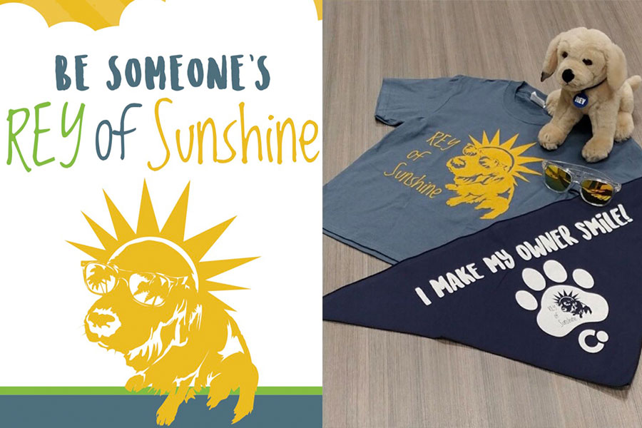 Two pet mats displayed: one with "Be Someone's Ray of Sunshine" text and sun design, another with paw prints and motivational quote.