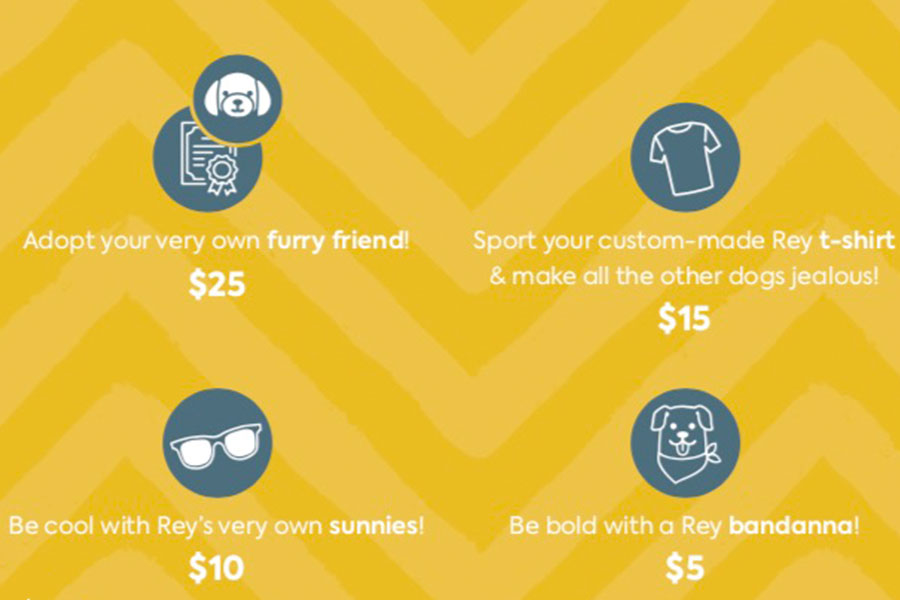 Four orthodontic promotion icons with prices: referral rewards, t-shirt offer, sunglasses promotion, and bandana special.
